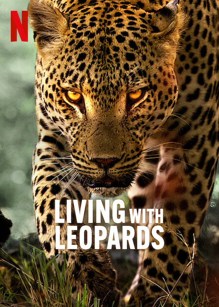 دانلود فیلم Living with Leopards 2024 با دوبله اختصاصی